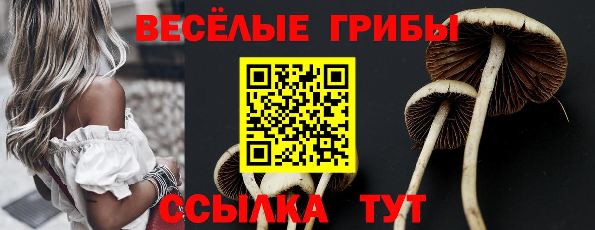 Псилоцибиновые грибы MAGIC MUSHROOMS Нерюнгри